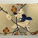 ウツギに小鳥の染め名古屋帯 前柄