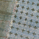 サリー地暈しの名古屋帯 質感・風合