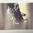 雪中仔犬たちの縮緬地名古屋帯　前柄