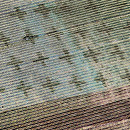 銀通しサリーの名古屋帯　質感・風合