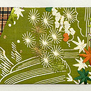 萌黄色寄せ裂の名古屋帯　前柄