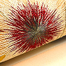 アザミに蝶の刺繍名古屋帯　質感・風合