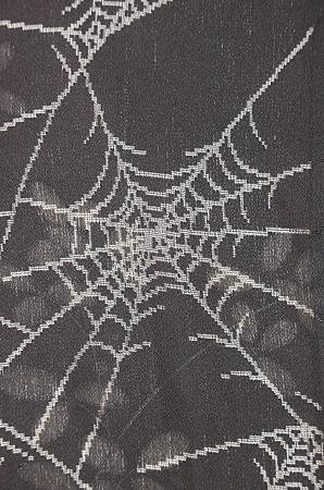 蜘蛛の巣に萩文様単衣羽織