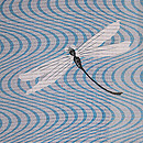 水紋にトンボの夏羽織　質感・風合