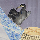 青もみじに鵜舟の単衣付下　質感・風合