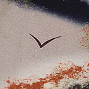 秋の山野図小紋 質感・風合