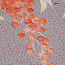 南天の小紋 質感・風合