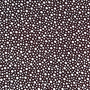 大小霰文様の羽織　質感・風合