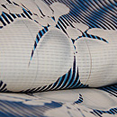 簾紋に菖蒲の絽地小紋　質感・風合