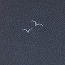 カモメの単衣小紋　質感・風合