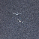 カモメの単衣小紋　質感・風合