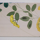 萩になでしこ、おみなえしの名古屋帯　前柄