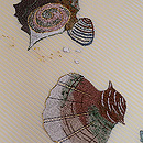 貝尽くしの刺繍名古屋帯　質感・風合