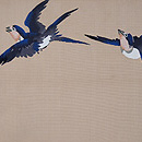 綴地ツバメの開き名古屋帯　前柄