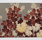 白菊の錦紗地名古屋帯　前柄