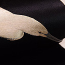 白鷺の刺繍名古屋帯　質感・風合