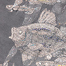 海底のお散歩織名古屋帯　質感・風合