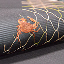 魚網に貝と蟹の刺繍名古屋帯　質感・風合