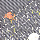 魚網に貝と蟹の刺繍名古屋帯　質感・風合