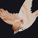 黒地雀の羽織　質感・風合