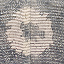 両裾文様絽の江戸小紋　質感・風合