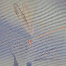 薄羽蜻蛉のお散歩着　質感・風合