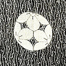 江戸小紋3つ紋の羽織　質感・風合