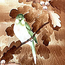 ミドリの小鳥の羽織　質感・風合