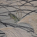 ススキが原にバッタの名古屋帯 質感・風合