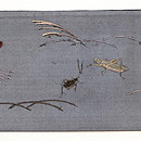 虫尽くし黒地紗の名古屋帯 前柄