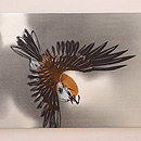 雀の描き絵名古屋帯　前柄