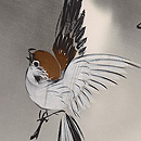 雀の描き絵名古屋帯　質感・風合