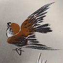 雀の描き絵名古屋帯　質感・風合