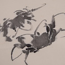 蟹の手描き名古屋帯　質感・風合