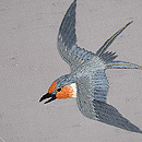 飛翔燕の刺繍名古屋帯　質感・風合