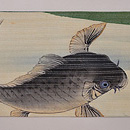 鯉の滝昇り図名古屋帯　前柄