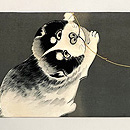 仔犬に奴凧の染め名古屋帯　前柄