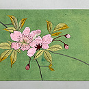 桜の枝にオウム刺繍名古屋帯　前柄