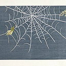 蜘蛛の刺繍夏帯　前柄